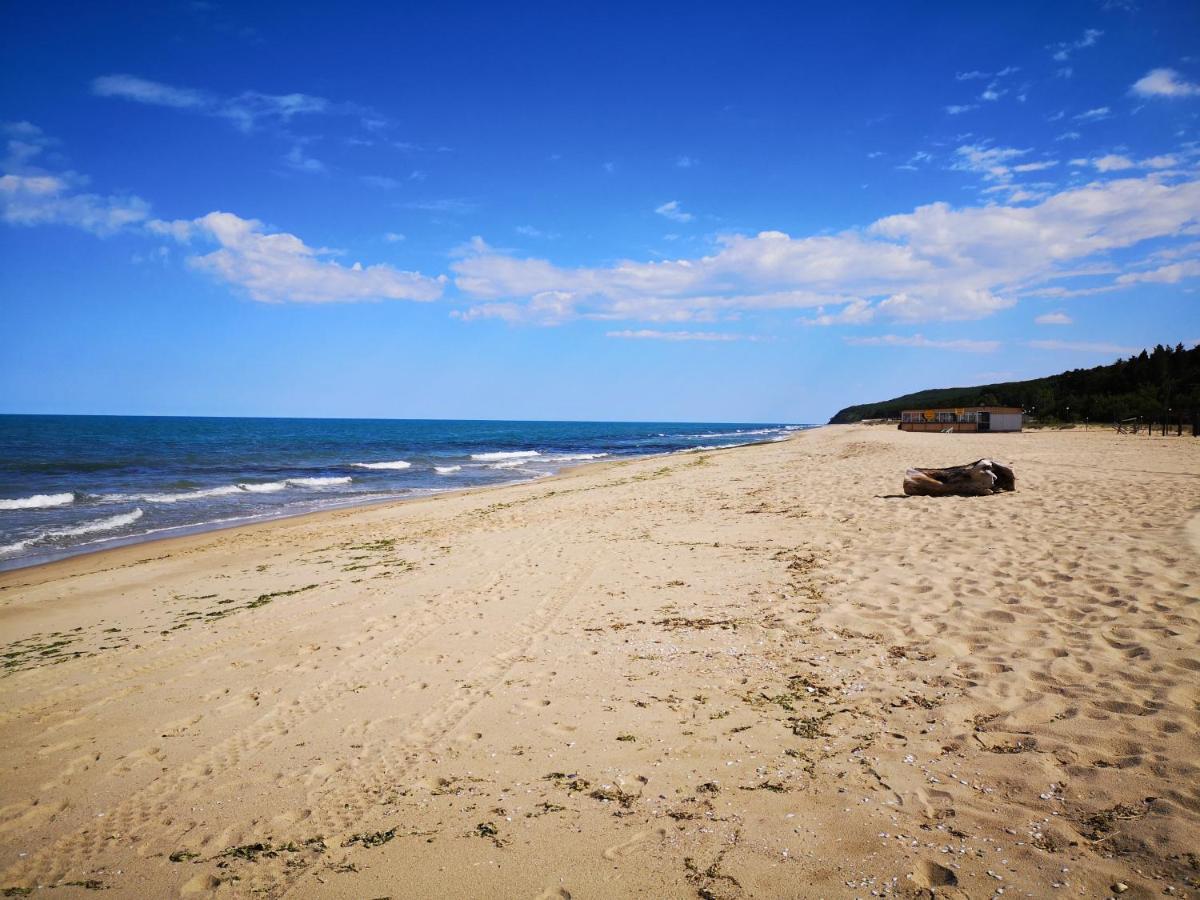 Sea Mood Lägenhet Shkorpilovtsi Exteriör bild